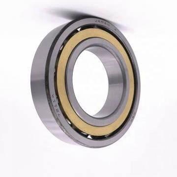 Deep Groove Ball Bearing SKF NSK Koyo 16006 Open Zz 2rz 2RS for Motorcycles Bearing