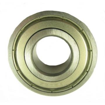 6301-2RS Ball Bearings 6301 6302 6303 6305 6306 6307 2RS C3 SKF NSK Koyo Motor Motorcycle Auto Bearings