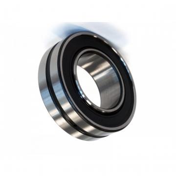 Double Row Spherical Roller Bearing 22205 22206 22207 22208 22209 22210 22211 22212 22213 22214 22215 22216 22217 22218 MB/Mbk/Ca/Cak/Cc/Cck/E/Ek/K W33c3