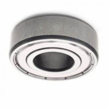 6020- O&Kai Z1V1 Z2V2 Z3V3 ISO Deep Groove Ball Bearing SKF NSK NTN NACHI Koyo OEM