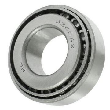 Ceramic Deep Groove Ball Bearing 6003 (6000 6001 6002 6003 6004 6005 6006 6007 6008 6009 6010 6020 6030 6200 6202 6205 6210 6220 6230 6300 608 625 626 685 695)