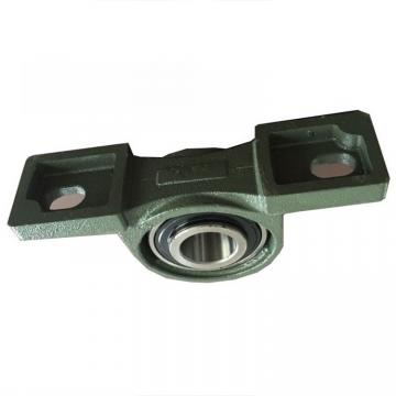 Factory Price Tr Pillow Block Bearing (P207 UCP207 F207 UCF207)